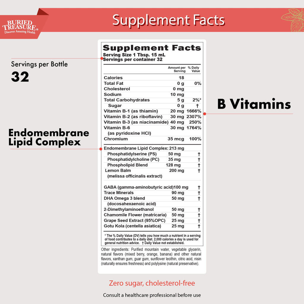 Kids' Brain & Focus Support Liquid | DHA, B-Vitamins & Phospholipids | Natural Raspberry | Ages 4+ | 16 oz