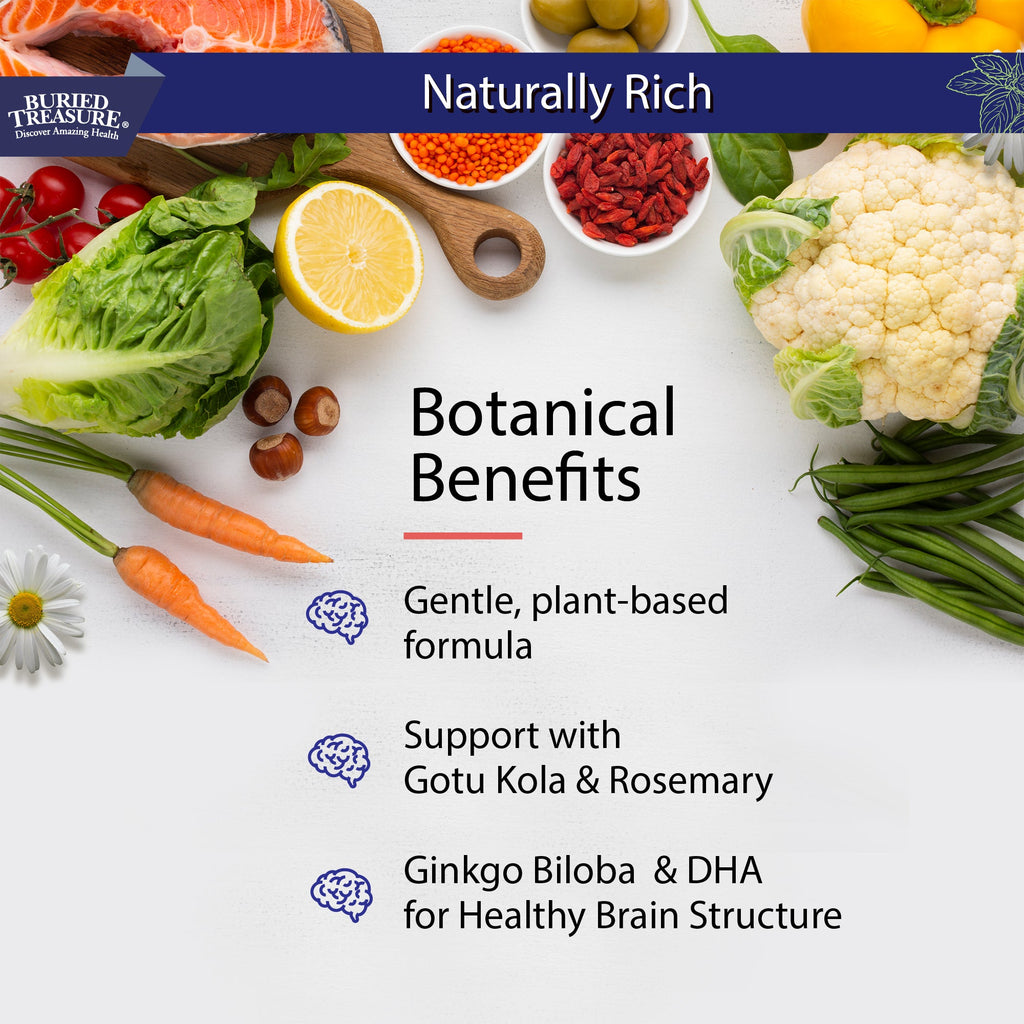 Neuro Nectar Brain Support Liquid | Focus, Memory & Mental Clarity | B12, DHA & Ginkgo | 16 oz