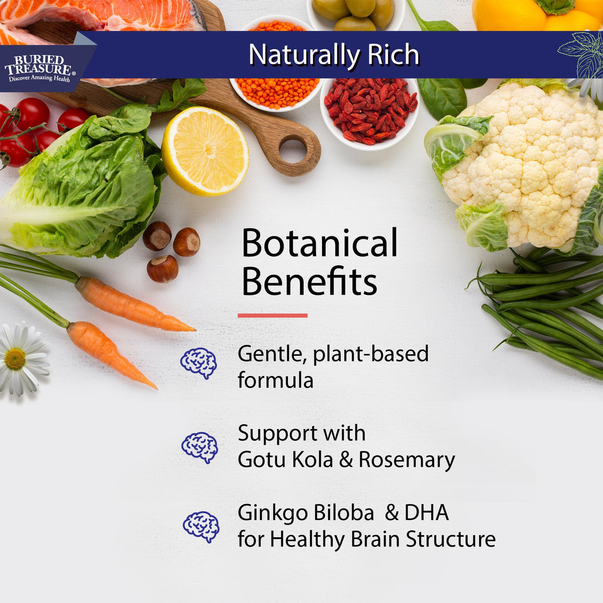 Neuro Nectar Brain Support Liquid | Focus, Memory & Mental Clarity | B12, DHA & Ginkgo | 16 oz