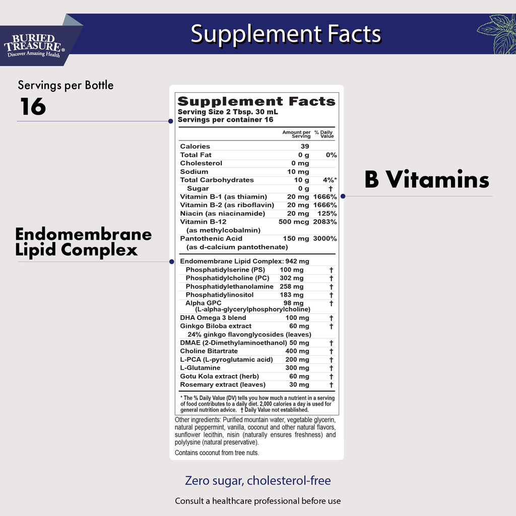 Neuro Nectar Brain Support Liquid | Focus, Memory & Mental Clarity | B12, DHA & Ginkgo | 16 oz
