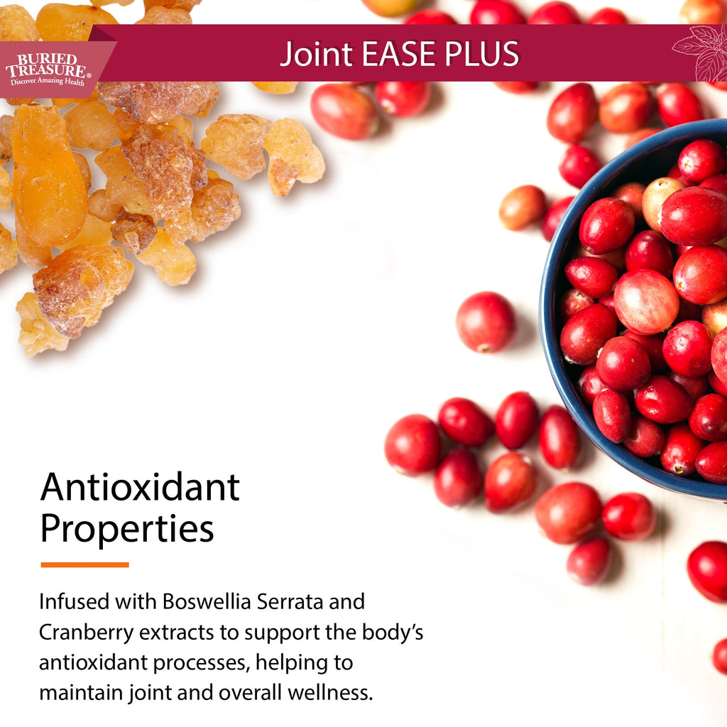 Joint Ease Plus Liquid | Glucosamine, MSM, Turmeric & Collagen Support | 16 fl oz