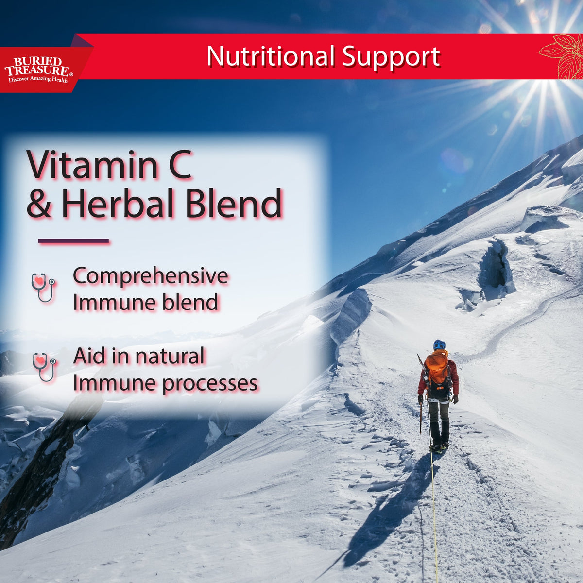ACF Extra Strength Immune Boost Liquid | 4-Day Intensive Protocol | 1,000mg Vitamin C & Elderberry